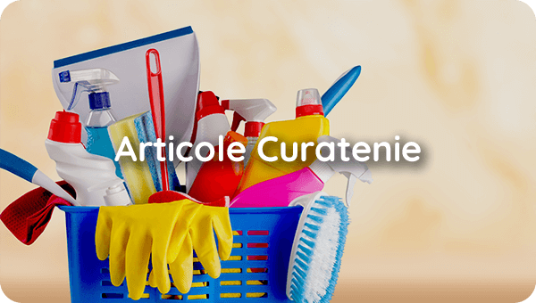 Articole Curatenie