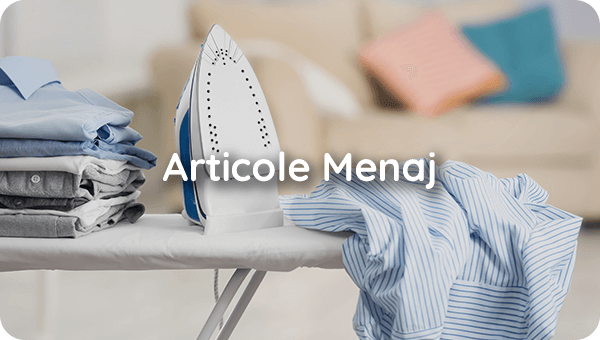 Articole Menaj